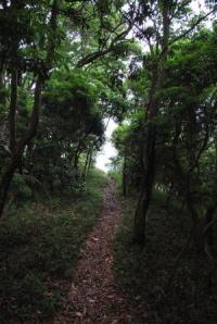 H230626 1340@ǂ܂Ă